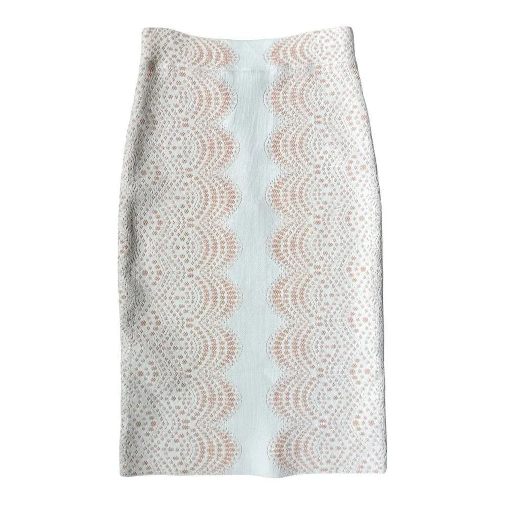 BCBG Max Azria Pavel Jaquard Skirt Stretch Knit Bodycon Size XXS